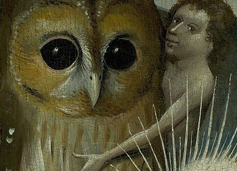 Почему Босх так любил изображать сов?