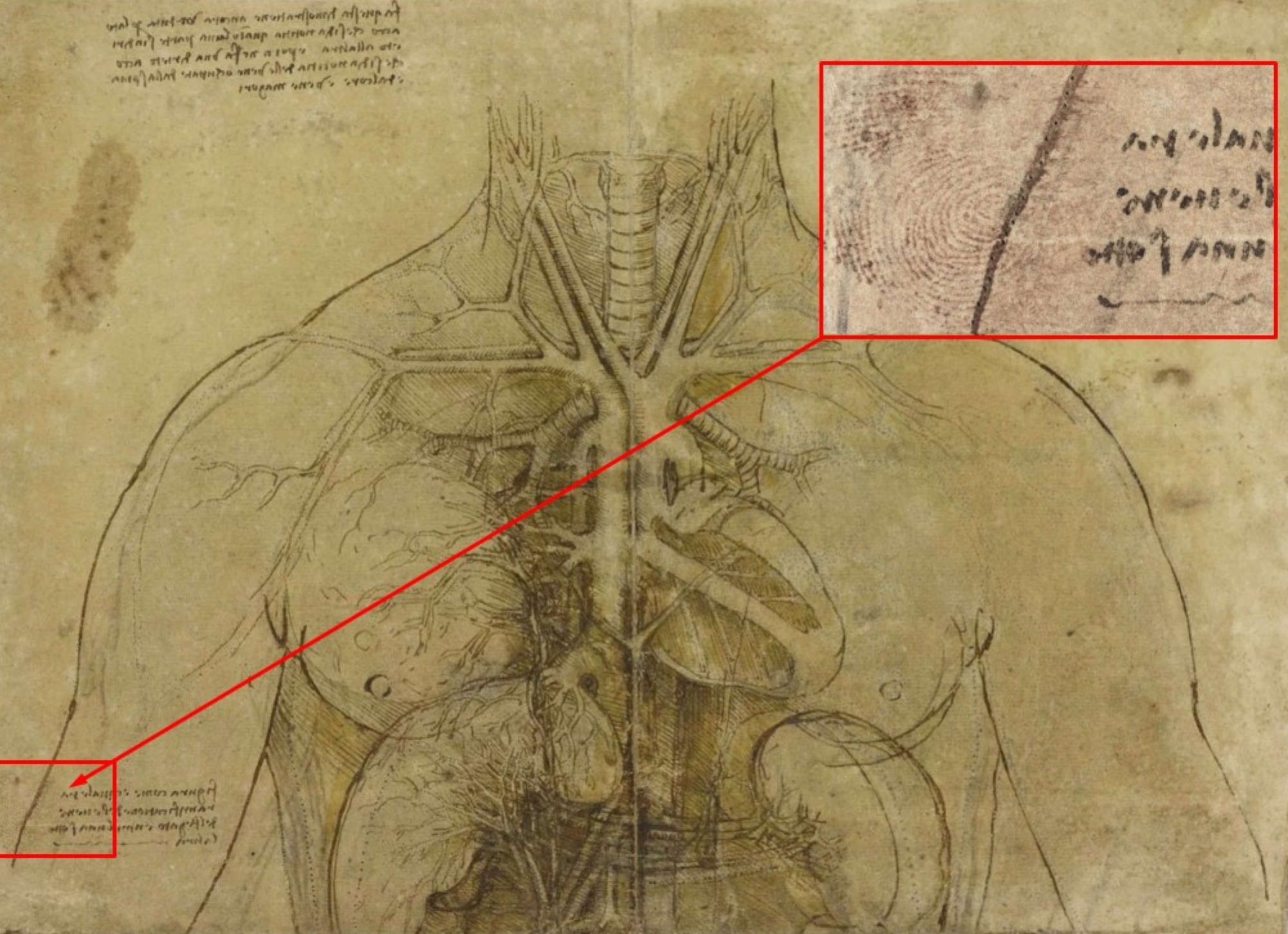 Обнаружены отпечатки пальцев Леонардо