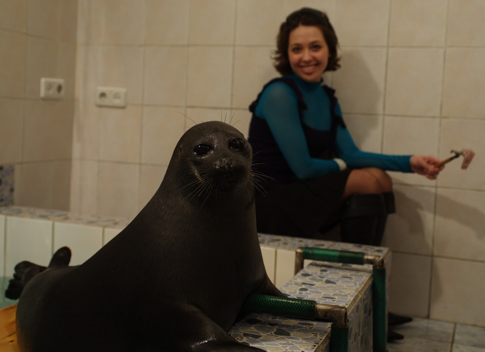 Чудесные зверьки, заряжающие позитивом в батиках Елены Разиной