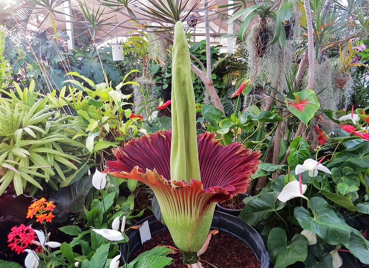 Работы фотографов, увидевших немного больше...