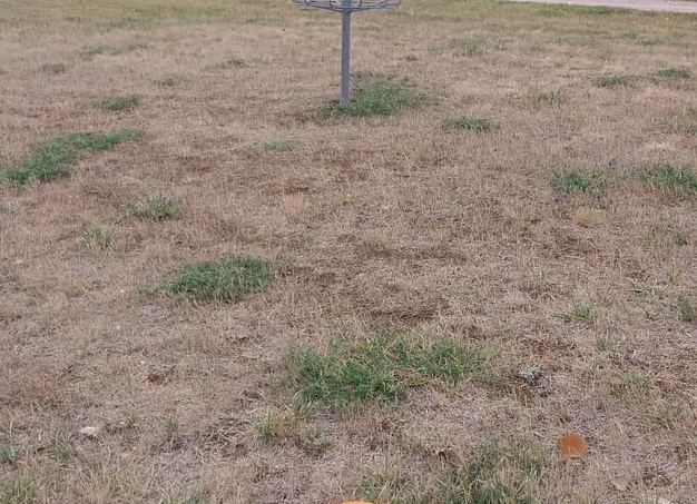 Как стать коллекционером: гид для новичка