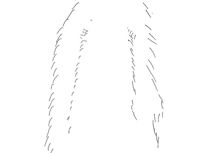 Сказка на реальных событиях